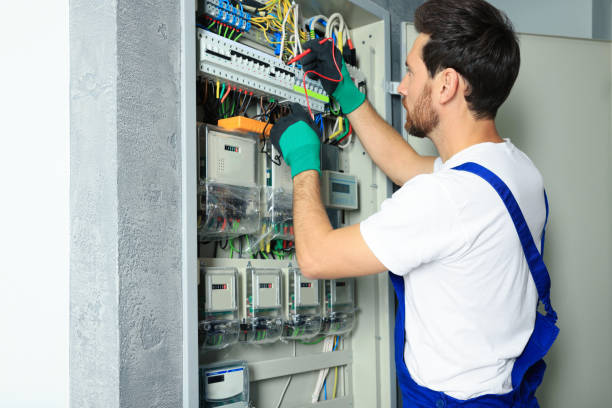 Best Local Electrician Companies  in Nocatee, FL