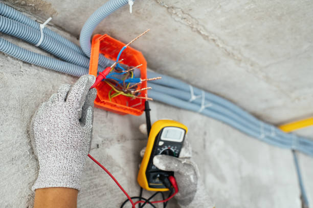 Best Electric Panel Repair  in Nocatee, FL
